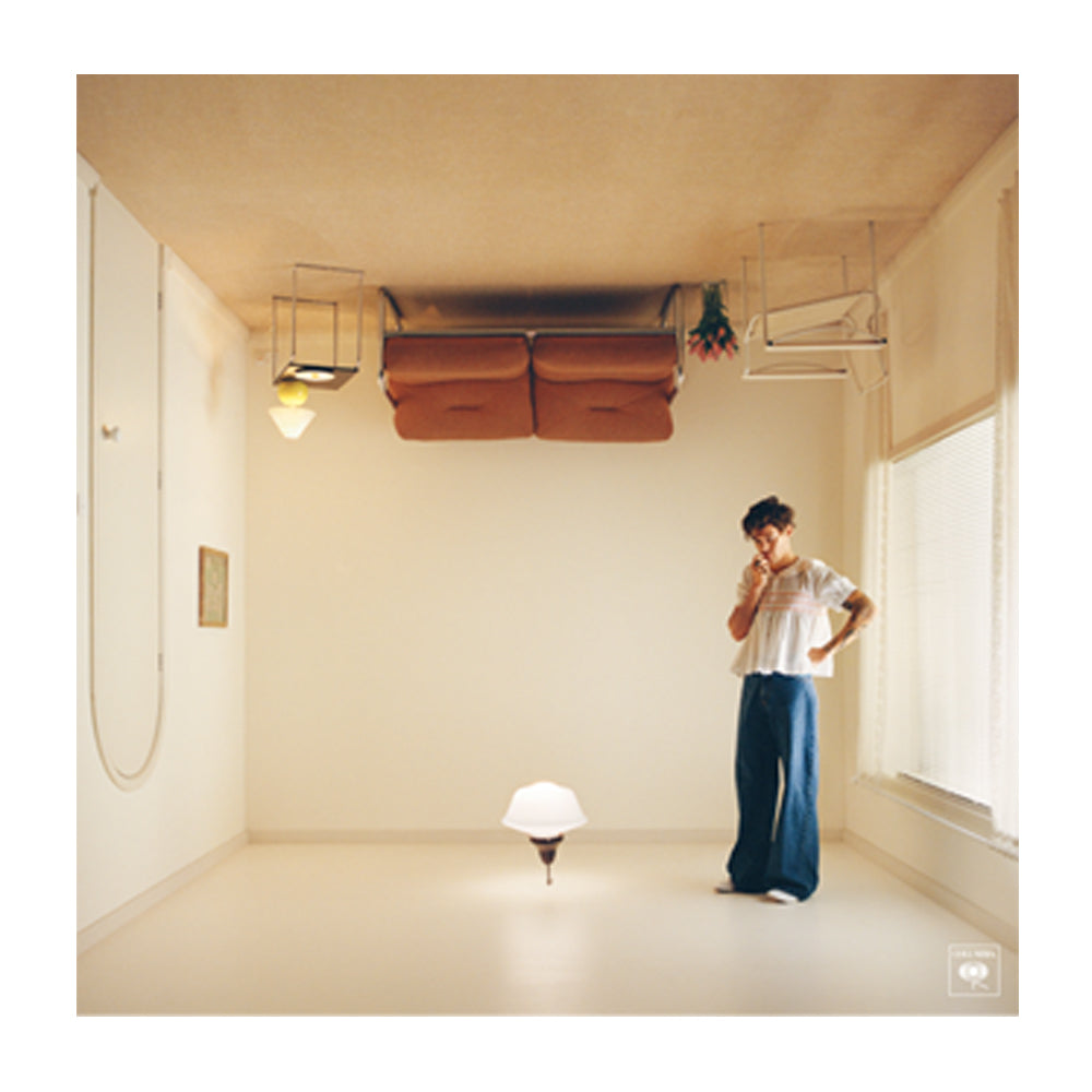 Harry Styles-Harry's House CD Framed Album Art-CD Art-Mood